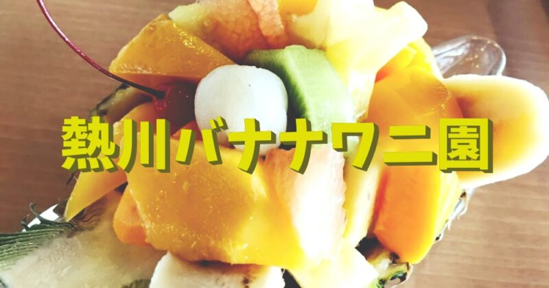 【東伊豆町・熱川バナナワニ園】バナナの噛み応えが最高！一度は食べたいパインボート♪〈ちゅんころもちレポート〉